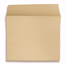 Blank File Envelope